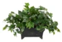 Planter Tech Speaker In Medallion Ledge Box With Ivy - Signature