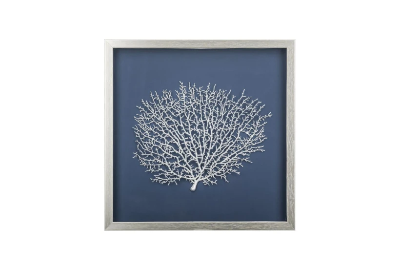 Picture-Silver Sea Fan Shadowbox With Blue Mat 18X18 - 360