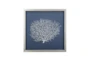 Picture-Silver Sea Fan Shadowbox With Blue Mat 18X18 - Signature