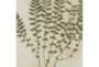 21X28 Inch Fern Botanical Wall Art- Set Of 2 - Detail