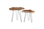 Brown Teak Wood Slice Accent Table Set Of 2 - Front