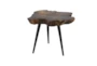 18 Inch Brown Live Edge Wood Slice Accent Table - Front