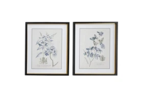 20X24 Inch Blue + Cream Vintage Floral Wall Art Set Of 2