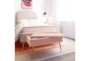 31" Lana Modern Blush Pink Velvet Bedroom Storage Bench - Room