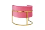 Deanna Rose Pink Velvet Accent Arm Chair - Back