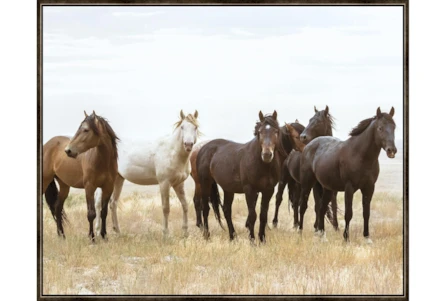 52X42 Wild Horses With Espresso Frame - Main