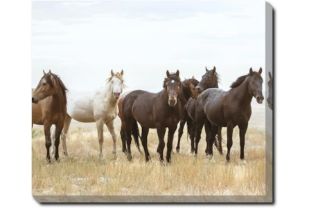 24X20 Wild Horses With Super Gallery Wrap Canvas - Main