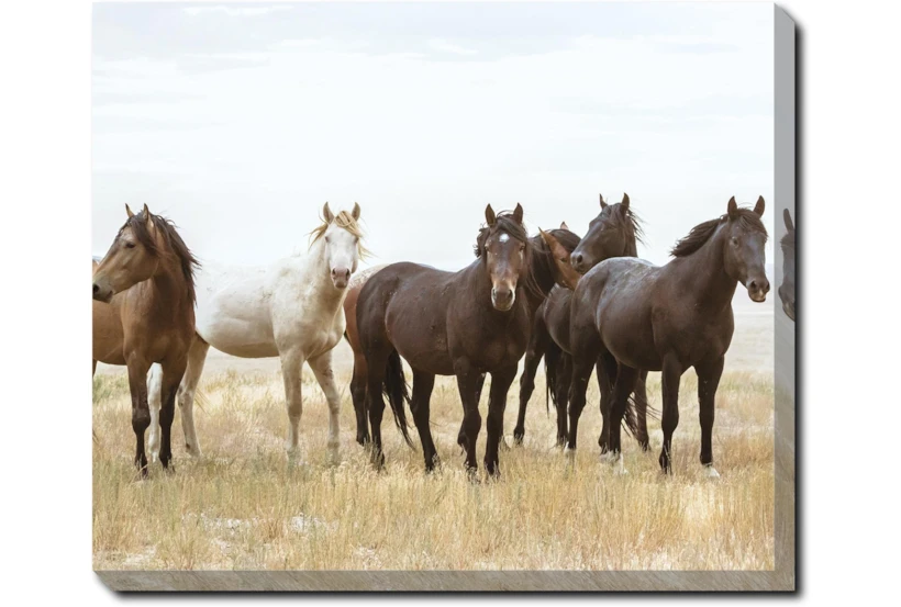 24X20 Wild Horses With Super Gallery Wrap Canvas - 360
