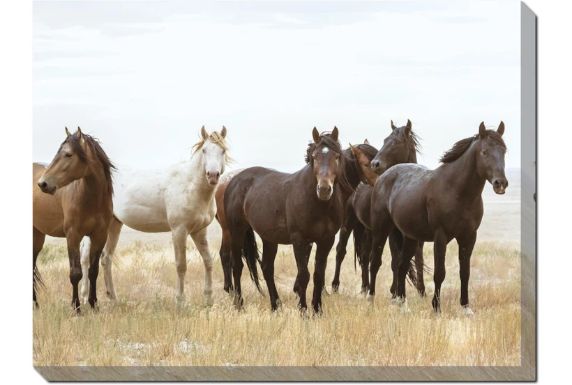 40X30 Wild Horses With Super Gallery Wrap Canvas - 360