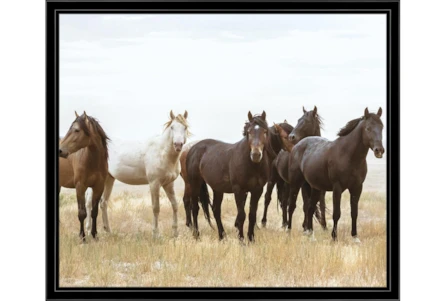 26X22 Wild Horses With Black Frame