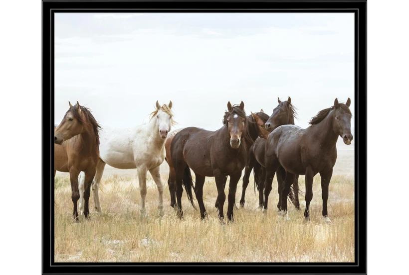 26X22 Wild Horses With Black Frame - 360