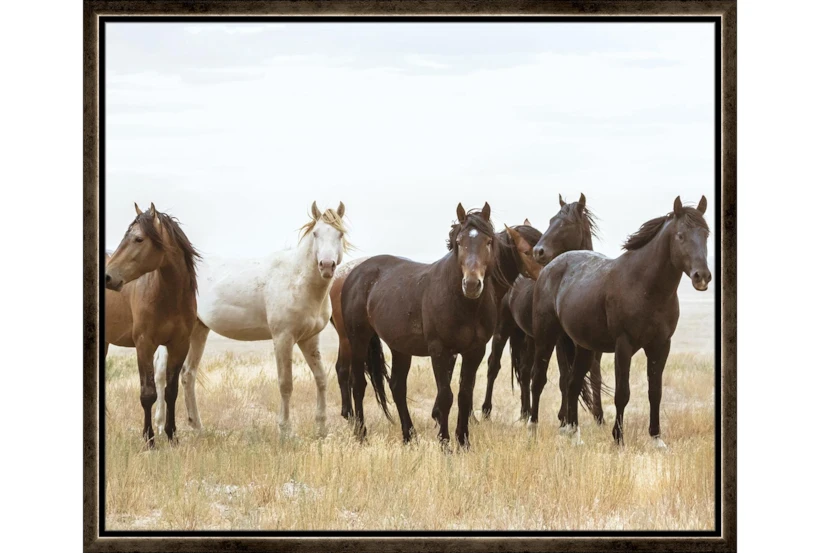 26X22 Wild Horses With Espresso Frame - 360