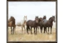 26X22 Wild Horses With Espresso Frame - Signature