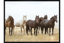 42X32 Wild Horses With Black Frame