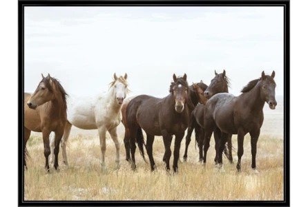 42X32 Wild Horses With Black Frame - Main