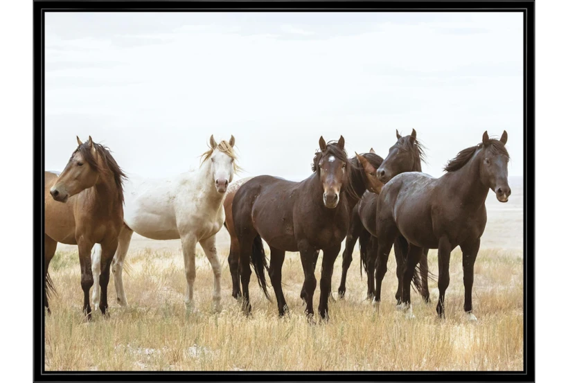 42X32 Wild Horses With Black Frame - 360