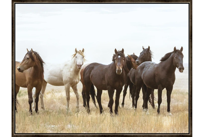42X32 Wild Horses With Espresso Frame - 360