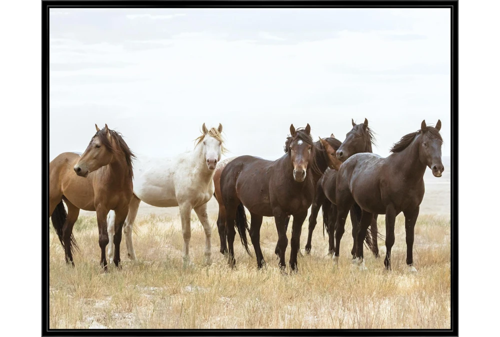 52X42 Wild Horses With Black Frame
