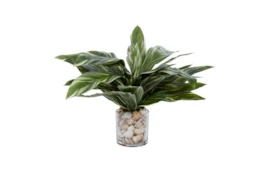 19" Artificial Hosta Plant In Glass Vase With Sea Shells