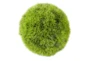 9" Green Plastic Artificial Foliage - Front