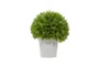 10" Green Leaf Artificial Plant - Front