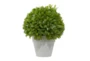 12" Green Artificial Table Top Plant - Front