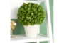 12" Green Artificial Table Top Plant - Room