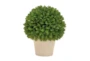 12" Green Artificial Table Top Plant - Signature