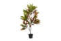 50" Artificial Potted Tree - Back