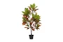 50" Artificial Potted Tree  - Front