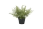 16" Green Artificial Plant - Back
