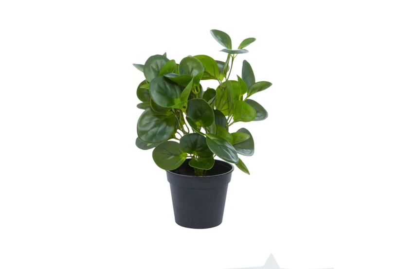 14" Artificial Peperomia Plant - 360