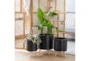 Black Wood Planter Set Of 3 - Room