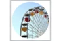 47X47 Ferris Wheel With Silver Frame  - Signature
