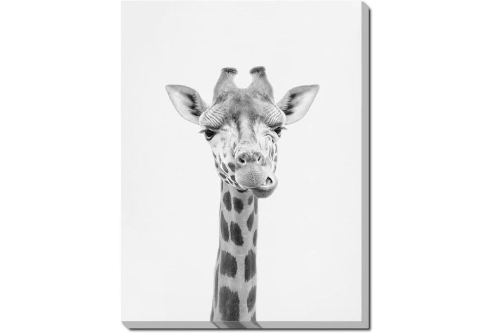 40X30 Giraffe With Gallery Wrap Canvas
