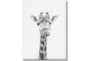40X30 Giraffe With Gallery Wrap Canvas - Signature