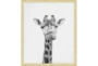 22X26 Giraffe With Bronze Gold Frame - Signature