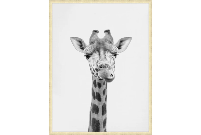 32X42 Giraffe With Gold Champagne Frame - 360