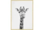 32X42 Giraffe With Bronze Gold Frame - Signature