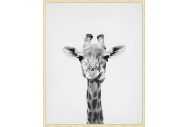 42X52 Giraffe With Gold Champagne Frame