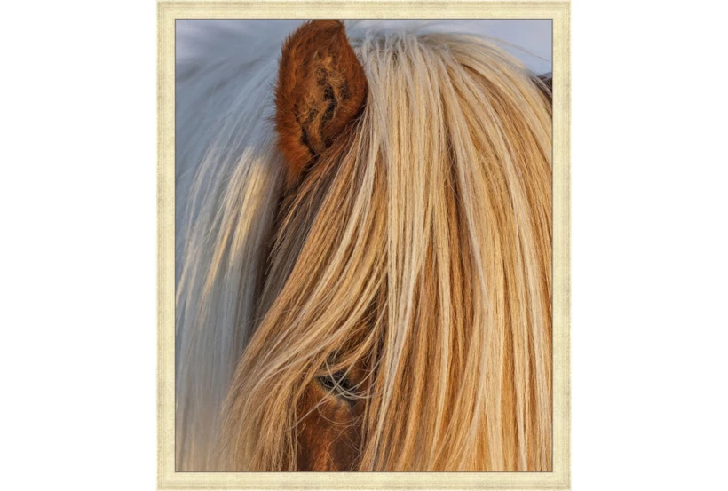 22X26 Horse Hair Don'T Care With Gold Champagne Frame - 360