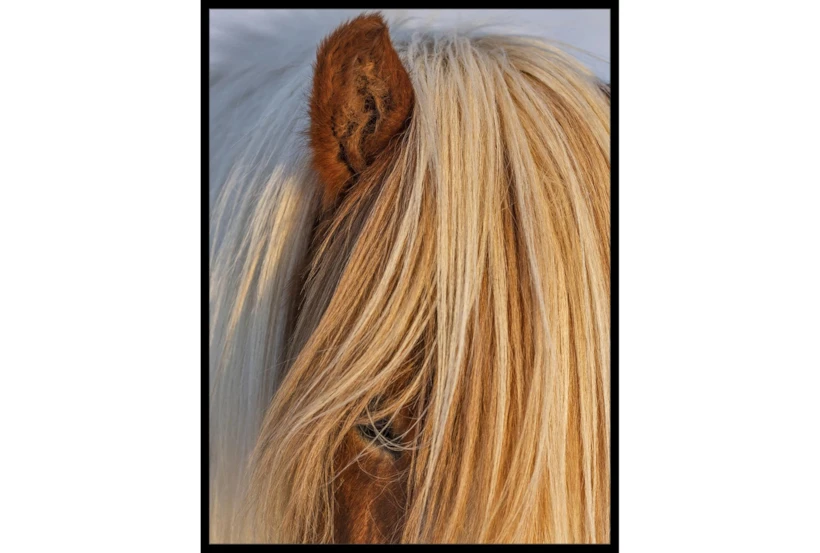 32X42 Horse Hair Don't Care With Black Frame - 360