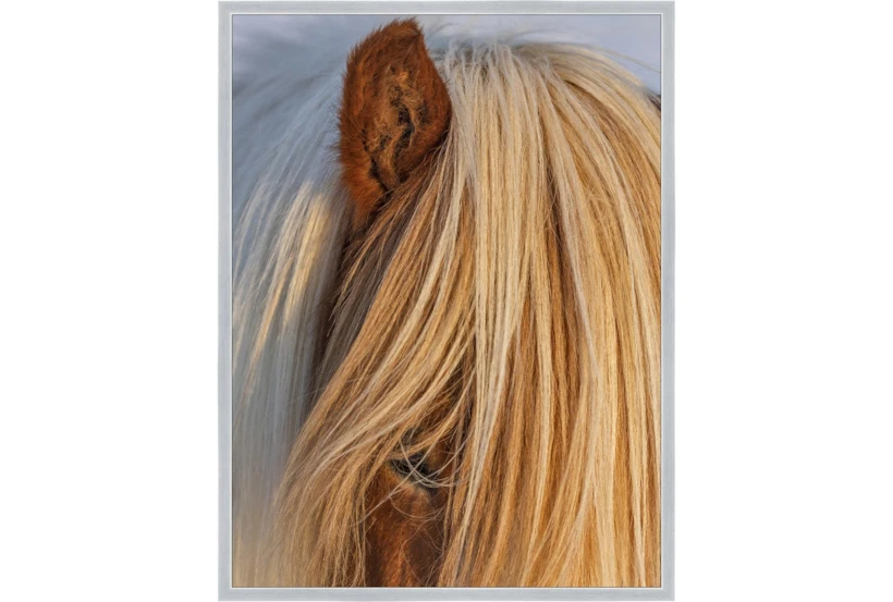 32X42 Horse Hair Don't Care With Silver Frame - 360