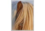 32X42 Horse Hair Don't Care With Silver Frame - Signature