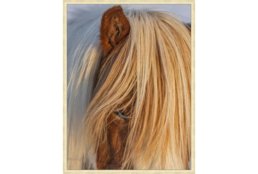 32X42 Horse Hair Don'T Care With Gold Champagne Frame - 360