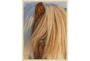 32X42 Horse Hair Don'T Care With Gold Champagne Frame - Signature