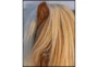 42X52 Horse Hair Don't Care With Black Frame - Signature