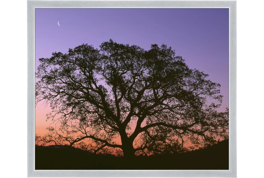 26X22 Tree At Sunset With Silver Frame