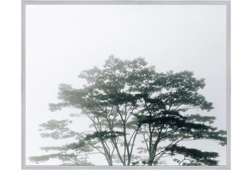 52X42 Trees Tranquil Moment With Silver Frame - 360