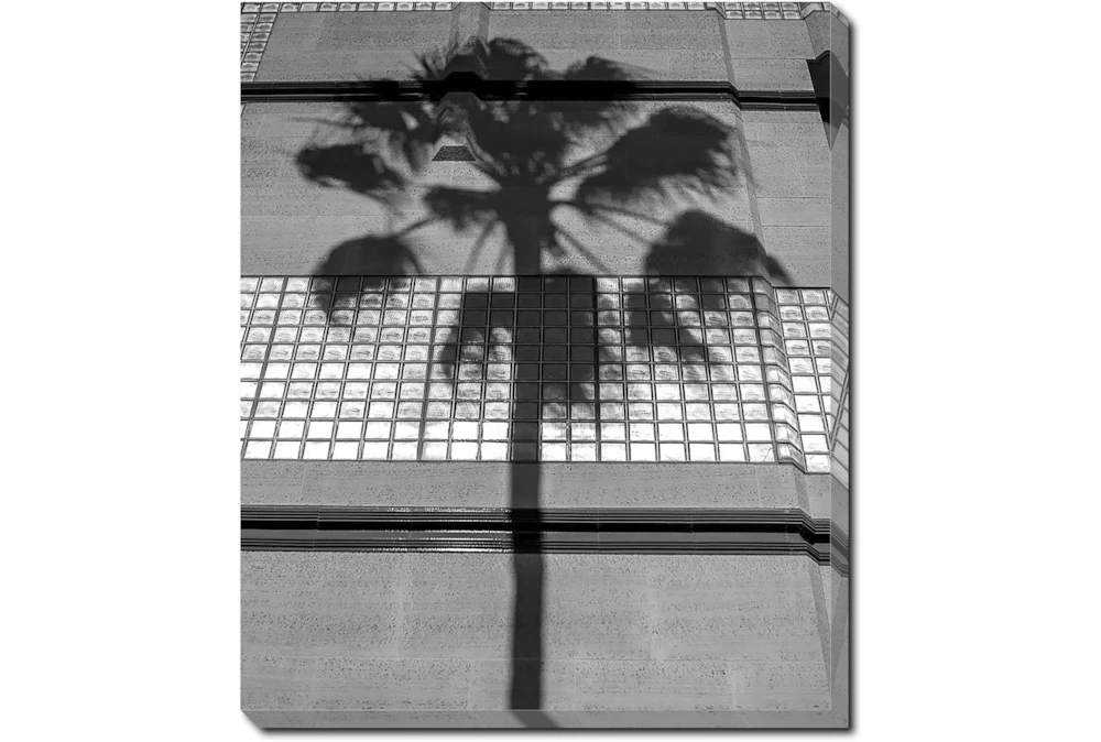 20X24 B&W Palm Tree With Gallery Wrap Canvas